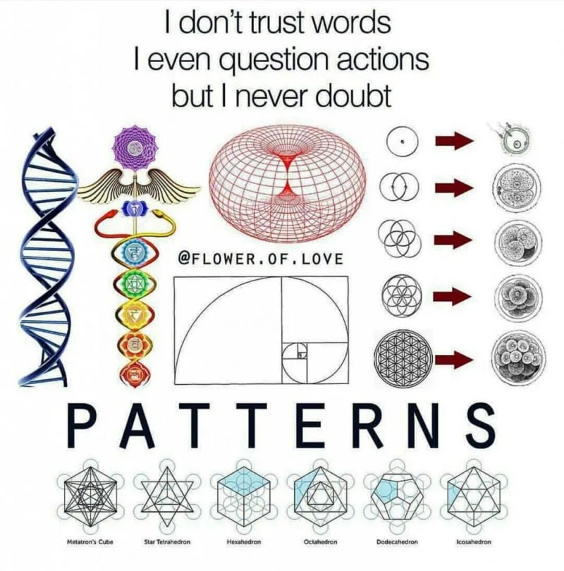 natures geometric patterns